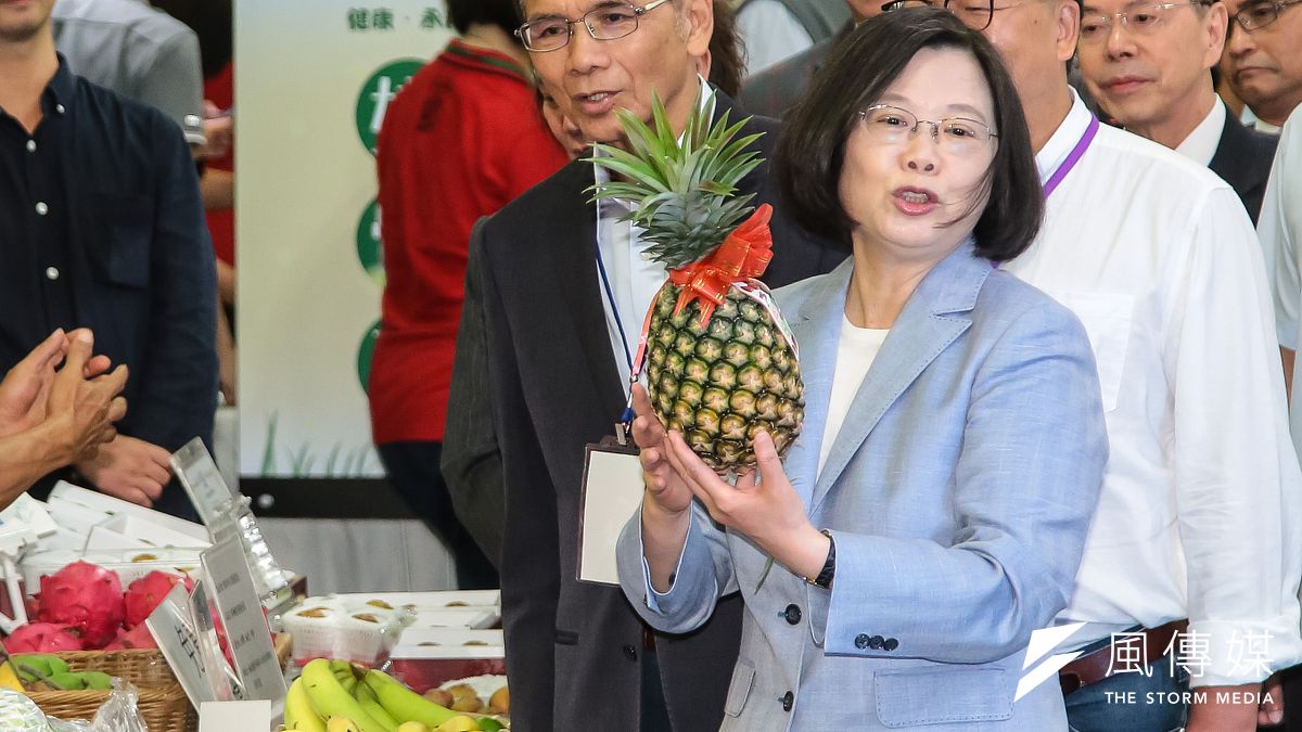 總統蔡英文(右)說,為打造新南向產業鏈,將成立工業國際投資公司、農業投資公司,擴大海外投資開發公司的規模。圖為她今出席「有機農業論壇」,拿起鳳梨推銷。(顏麟宇攝) 總統蔡英文(右)說,為打造新南向產業鏈,將成立工業國際投資公司、農業投資公司,擴大海外投資開發公司的規模。圖為她今出席「有機農業論壇」,拿起鳳梨推銷。(顏麟宇攝)