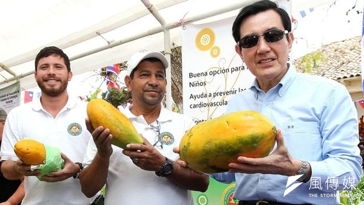 馬總統(右)26日在宏都拉斯視察台灣技術團輔導當地農民生產的高品質瓜果。(總統府) 馬總統(右)26日在宏都拉斯視察台灣技術團輔導當地農民生產的高品質瓜果。(總統府)