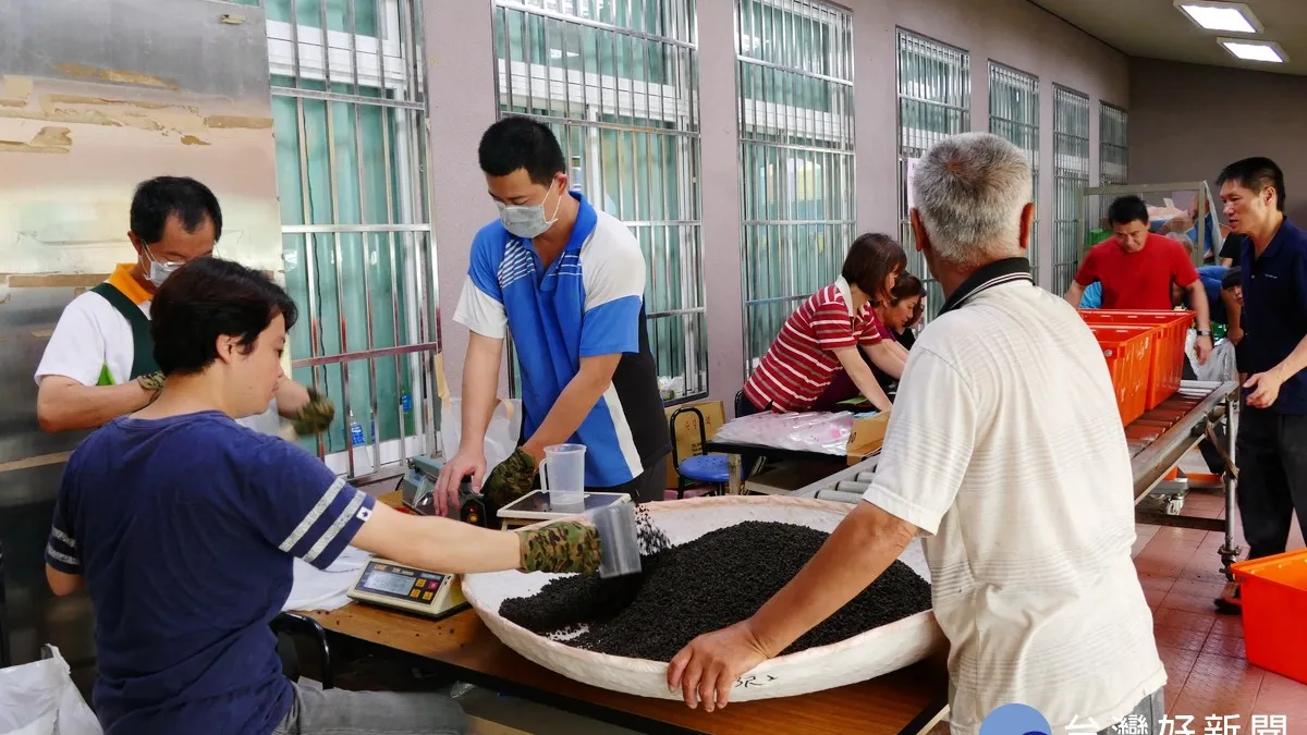 鹿谷春季烏龍茶大賽 繳茶參賽6604件刷新紀錄