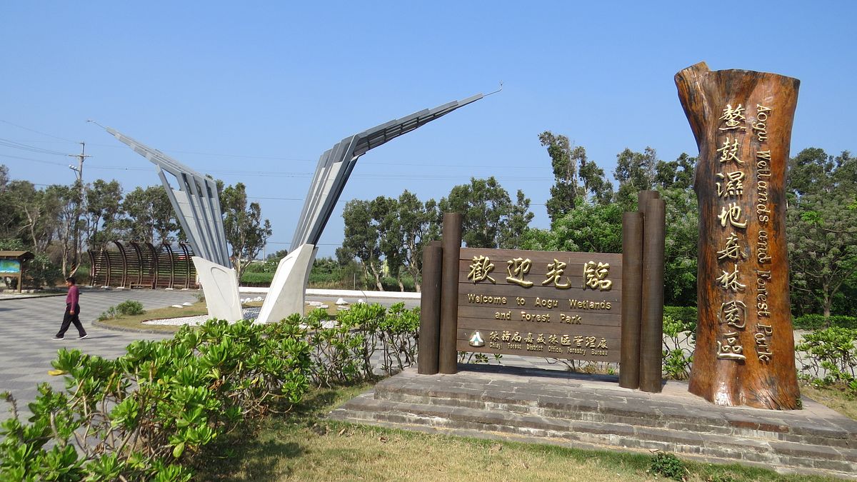 響應國際森林日 鰲鼓濕地護林趣 響應國際森林日 鰲鼓濕地護林趣