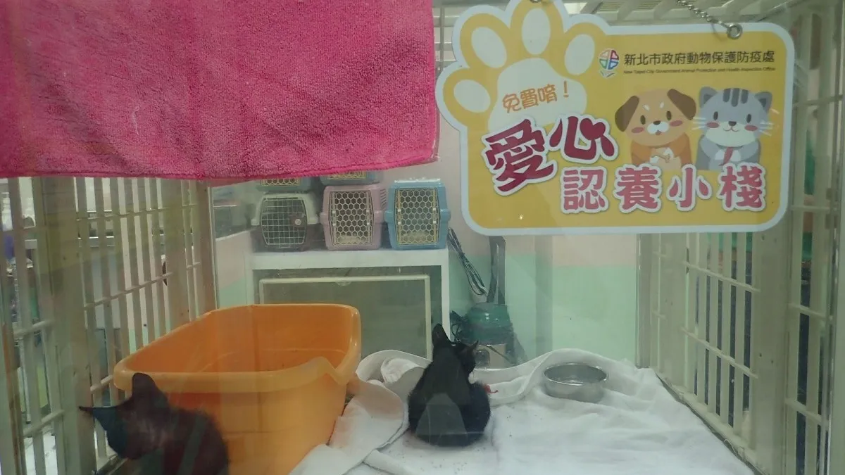新北推零安樂死零棄養 業者設愛心小棧供民眾認養