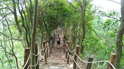 大坑5號步道整修後,大幅優化步道整體安全性及行走舒適度,有效提升登山環境安全及觀光遊憩品質。(圖/記者王秀禾提供)