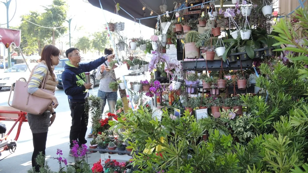 春節旅遊何處去? 花在彰化賞花走春趣