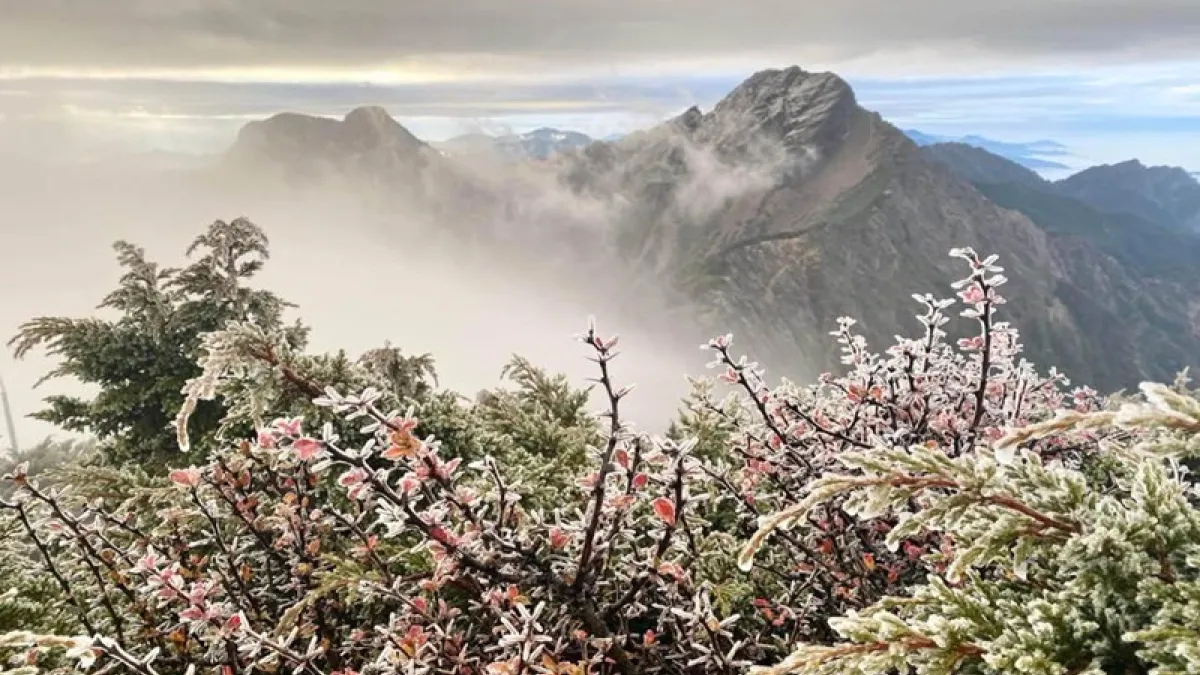 玉山凍雨真的很美。(圖/翻攝自鄭明典臉書)