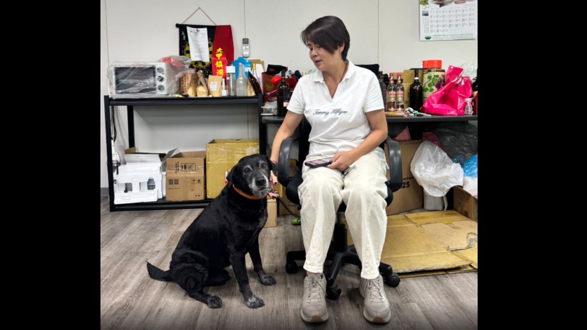 中市搜救犬Jacob與Wonder圓滿退役 兩隻毛英雄前往新家