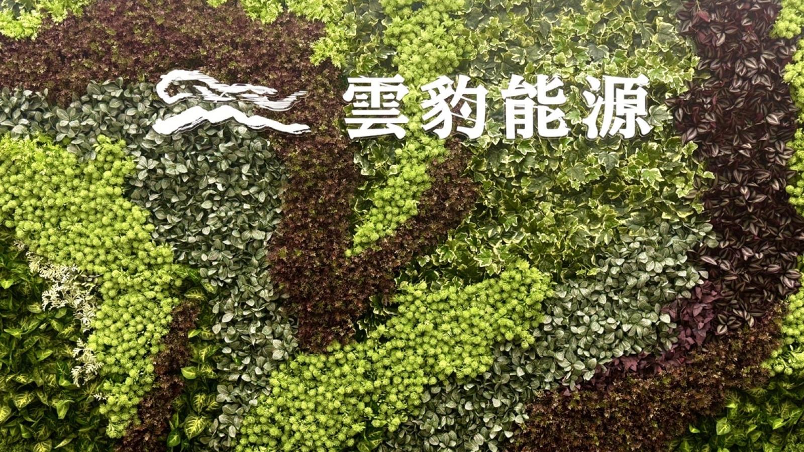 台啤美國獨家代理商是誰?馥諾資本董監名單牽出雲豹能源關係人