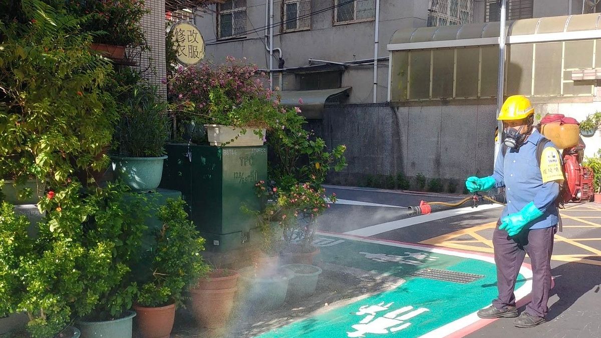 今年首例本土登革熱現蹤!新北6旬婦染疫頭暈發燒 感染源待釐清