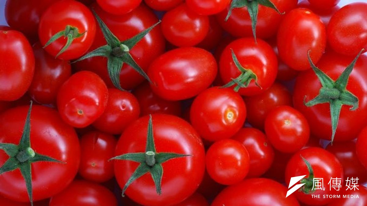 番茄營養豐富,而且(取自網路) 番茄營養豐富,而且(取自網路)