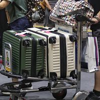 日本のりんご飴店オーナー池田喬俊氏、台湾砂糖を大量に持ち帰り、税関と麻薬探知犬に止められ話題に。(写真/柯承惠撮影) 日本のりんご飴店オーナー池田喬俊氏、台湾砂糖を大量に持ち帰り、税関と麻薬探知犬に止められ話題に。(写真/柯承惠撮影)