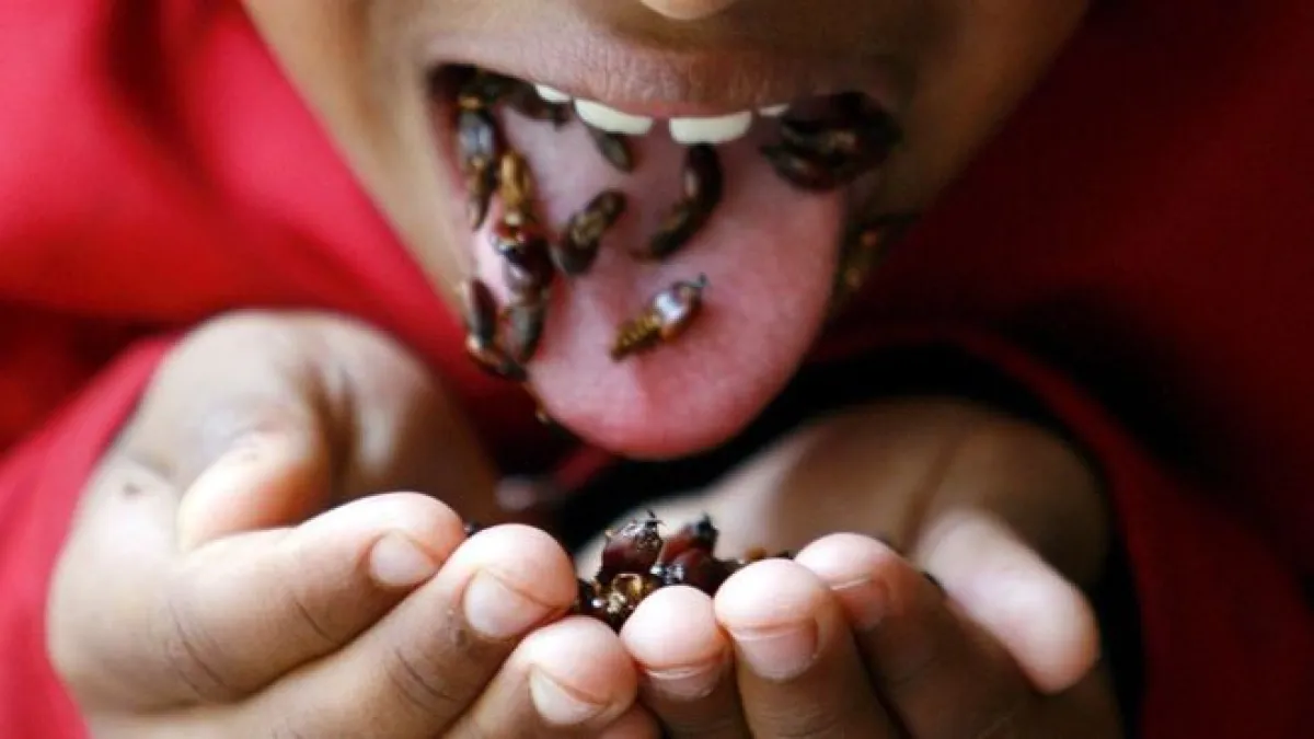 舌尖上的白蟻—在南非約翰內斯堡的一個小男孩正在吃零食。(BBC中文網)