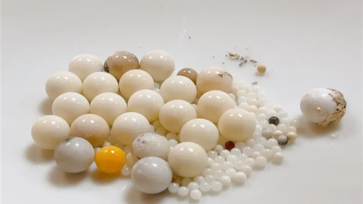 星雲法師火化後燒出數不清的舍利子。(資料照,佛光山提供) 星雲法師火化後燒出數不清的舍利子。(資料照,佛光山提供)