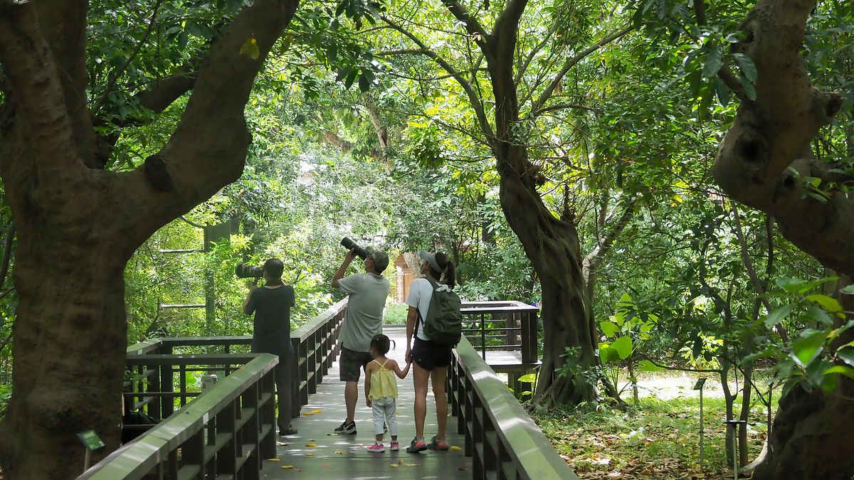 股票族怒火不是新制喊卡主因?醫揭補充保費政府盤算:所得稅劫富完換健保了