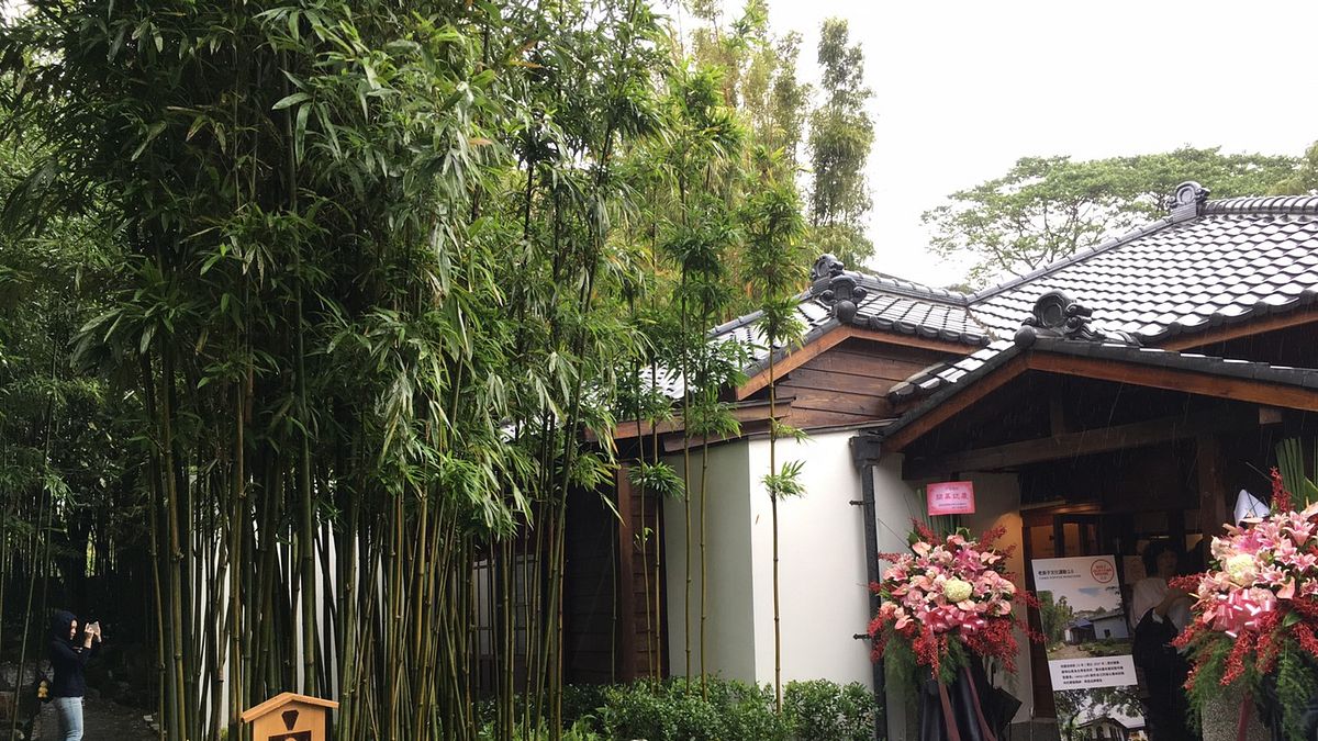 咖啡連鎖品牌cama改造陽明山老宅,推出品牌旗艦店「豆留森林」(圖/cama) 咖啡連鎖品牌cama改造陽明山老宅,推出品牌旗艦店「豆留森林」(圖/cama)