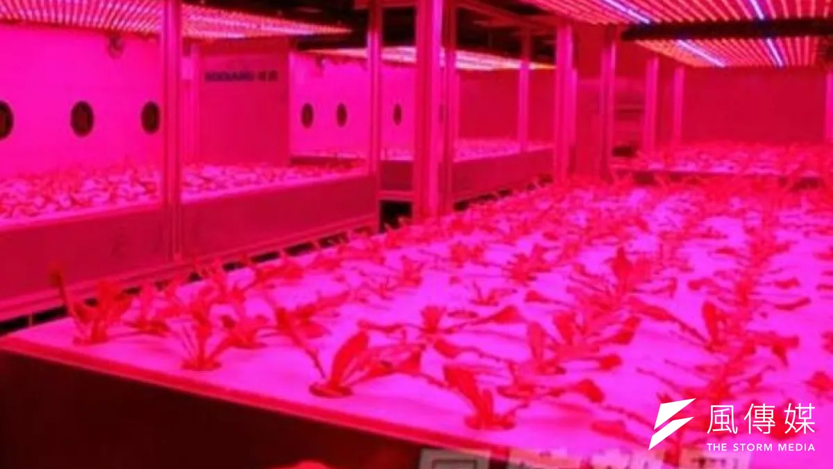中國2012年BLSS系統測試時的植物艙。(圖片來源:取自網路)