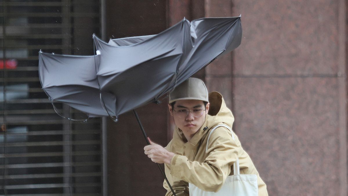 鳳凰颱風會停班停課嗎?最新路徑/風雨時程/各縣市強度曝!北北基暴風圈侵襲率也飆高