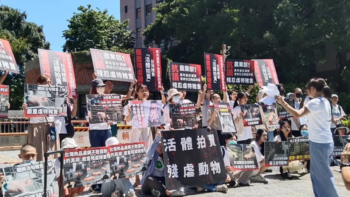 動保團體昨天到農業部抗議,要求廢除豬隻活體拍賣。(圖/作者提供)