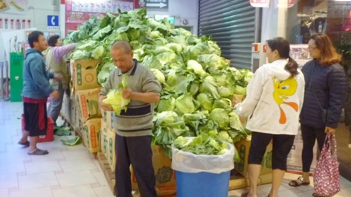 搶救農民心血 量販店購物送高麗菜