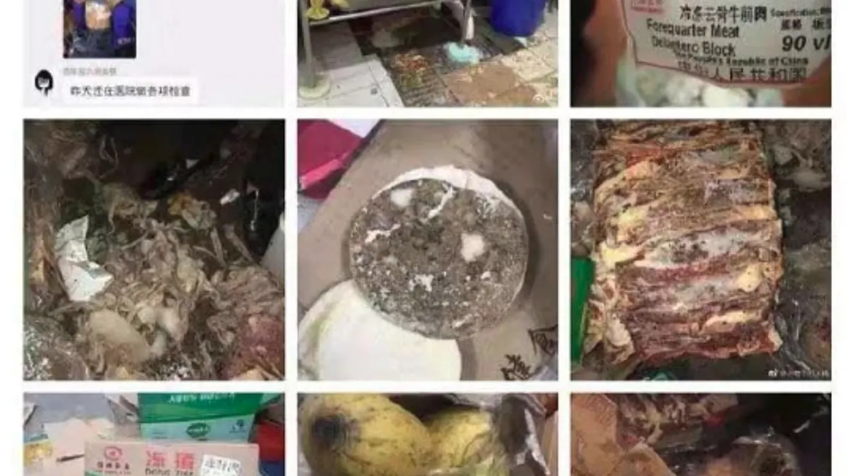 有家長反映,學校食堂問題長期存在。去年孩子就出現過「肚子痛、胃痛,臉上長痘,口腔潰瘍,嘴角生瘡,便秘和便血絲等症狀」。食品問題曝光前,學校官網還掛著外界到食堂參觀,稱其「規範標準」值得學習。家長群起抗議,卻被催淚彈驅離,學者痛心點出中國社會的問題,真相超黑暗…(圖/截自微博)