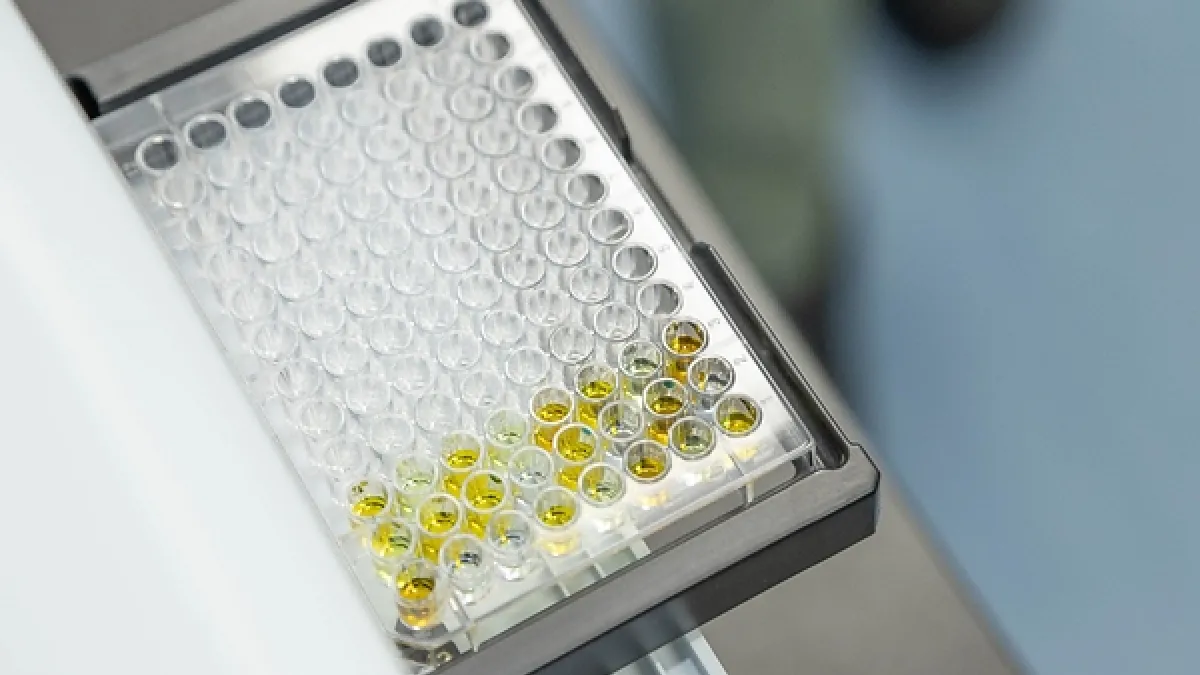 Taiwanese Team Highlights Precision Indoxyl Sulfate Testing for Early CKD Management in Japan