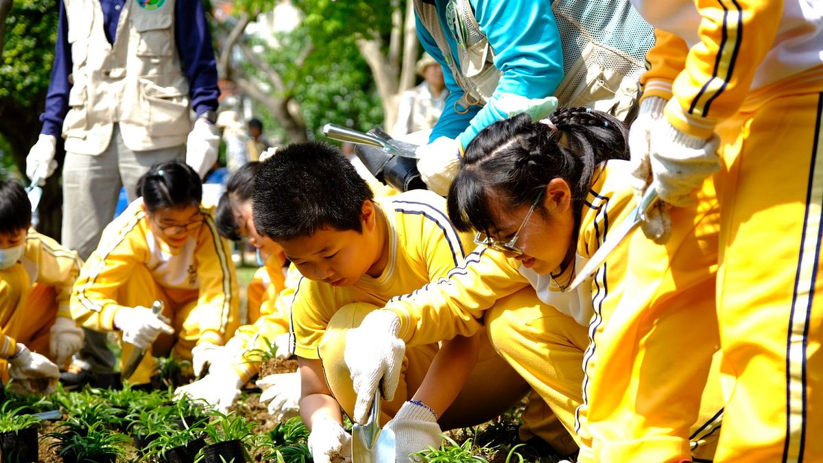 新北市推動計畫性植樹,號召民間團體共同響應。(圖/新北市農業局提供) 新北市推動計畫性植樹,號召民間團體共同響應。(圖/新北市農業局提供)