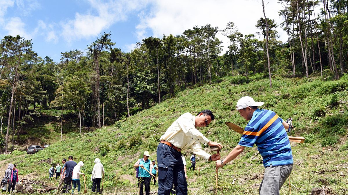農委會林務局新竹林區管理處將於12月舉辦約僱森林護管員甄試,除了筆試、口試外,還要會騎乘打檔機車、負重跑走。(資料圖,architecturaldigest) 農委會林務局新竹林區管理處將於12月舉辦約僱森林護管員甄試,除了筆試、口試外,還要會騎乘打檔機車、負重跑走。(資料圖,architecturaldigest)