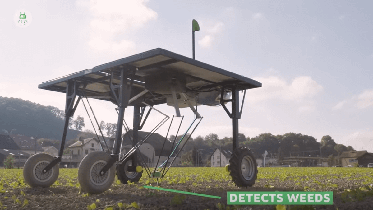 瑞士開發出新機器人,宣稱能針對雜草用藥,大幅降低作物殘留農藥的可能性。大砍 95% 除草劑用量,對農人和消費者都是一大福音。(圖/截自 Youtube) 瑞士開發出新機器人,宣稱能針對雜草用藥,大幅降低作物殘留農藥的可能性。大砍 95% 除草劑用量,對農人和消費者都是一大福音。(圖/截自 Youtube)