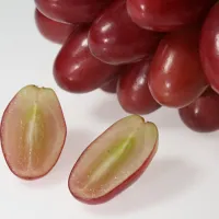 島根県が誇る門外不出の最高級ぶどう神紅や幻の蓬莱柿に加え水質日本一の高津川が育む天然鮎など夏の肌と身体を潤す究極の贅沢食材が集結。(写真/ご縁と美肌の国!しまねPR事務局提供) 島根県が誇る門外不出の最高級ぶどう神紅や幻の蓬莱柿に加え水質日本一の高津川が育む天然鮎など夏の肌と身体を潤す究極の贅沢食材が集結。(写真/ご縁と美肌の国!しまねPR事務局提供)