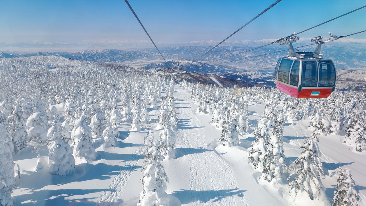 易飛網嚴選行程朝聖東京「藏王樹冰」獨特奇景。(圖/業者提供) 易飛網嚴選行程朝聖東京「藏王樹冰」獨特奇景。(圖/業者提供)