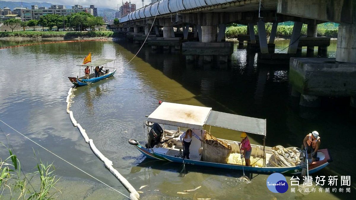 加派人力物力打撈 北市府團隊合作清除死亡魚群 加派人力物力打撈 北市府團隊合作清除死亡魚群