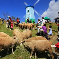 2024年南投県で人気観光スポット上位3位は「日月潭環潭区」、「八卦山風景区(南投地区)」、「渓頭自然教育園区」。(写真/清境農場公式サイトより) 2024年南投県で人気観光スポット上位3位は「日月潭環潭区」、「八卦山風景区(南投地区)」、「渓頭自然教育園区」。(写真/清境農場公式サイトより)