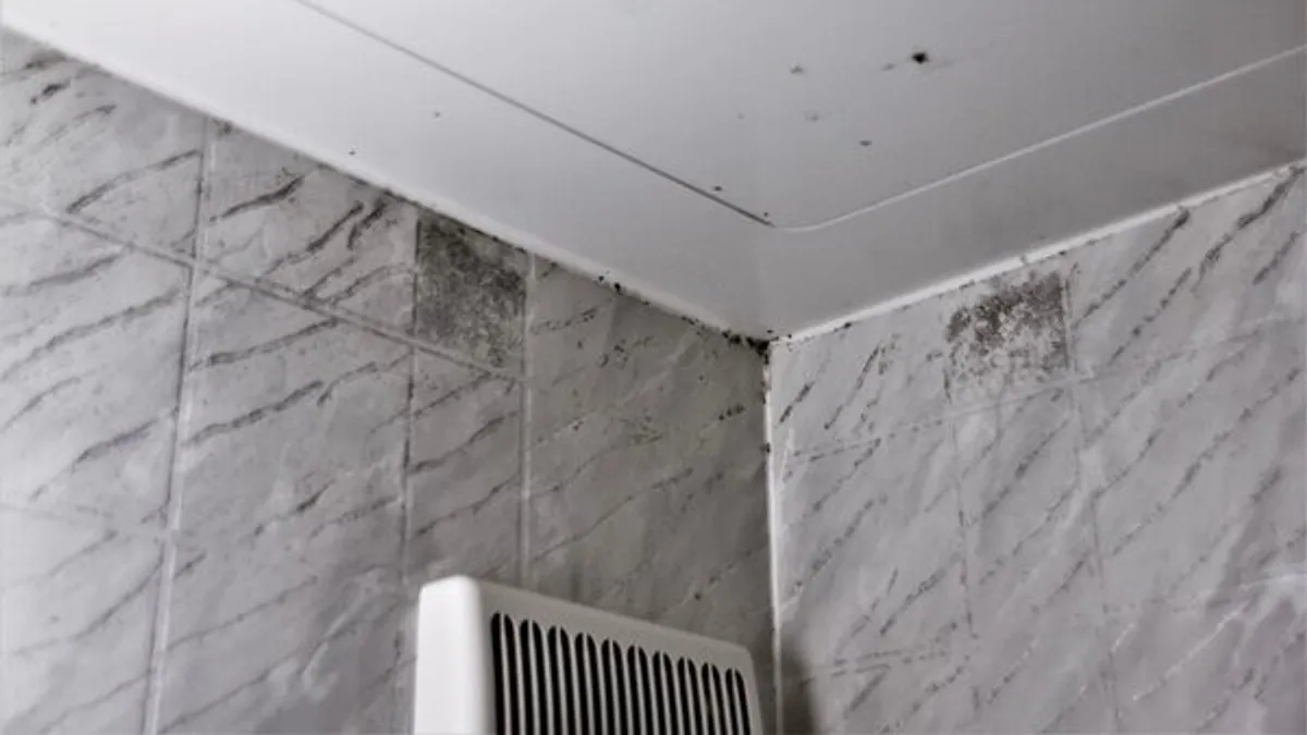 除了浴室的牆壁,平時甚少清潔的天花板其實有大量無色透明的霉菌孢子,稍不留神就會大量增生繁殖,而且還會散落至浴室四周。(示意圖/取自photoAC)