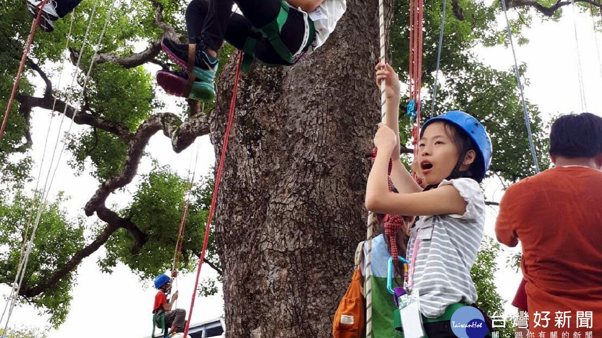 苗縣繩索攀樹親子研習活動 體驗大樹強健生命力 苗縣繩索攀樹親子研習活動 體驗大樹強健生命力