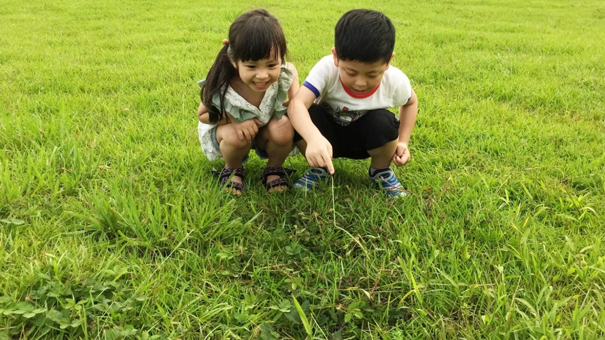 大自然觀察家活動:對視覺有幫助且能提升孩子在複雜背景中找到關鍵物品的主題背景能力。(圖/台北醫院提供)