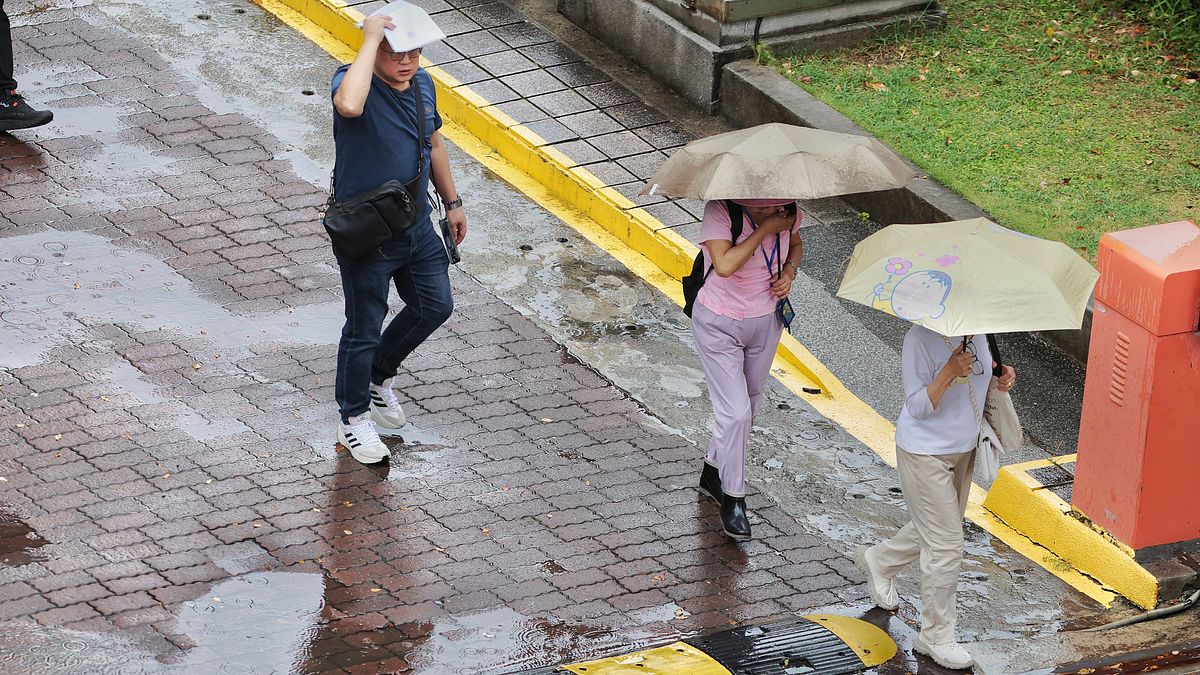 台中市明天會放颱風假嗎?盧秀燕最新回應!全台120小時暴風侵襲機率曝