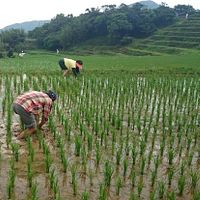 國際春季旅展 新北推烏來、貢寮特色行程體驗 國際春季旅展 新北推烏來、貢寮特色行程體驗