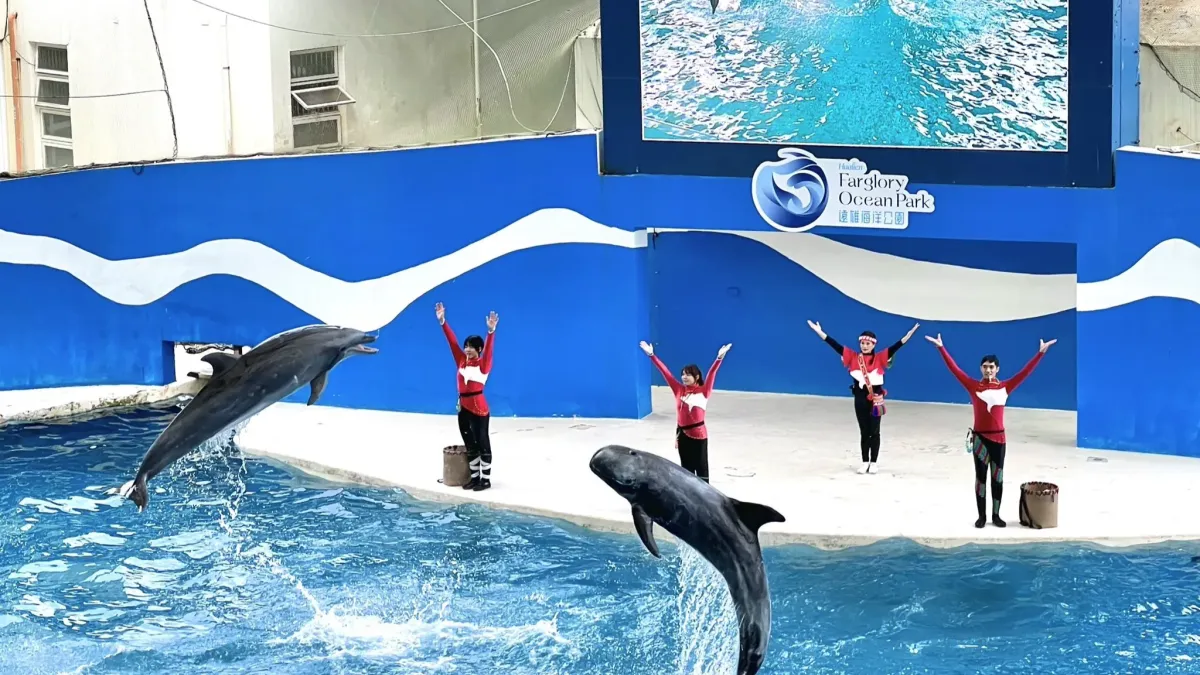 遠雄海洋公園園區內的鯨豚秀展演許可於2026年到期,官方經典演出《海豚傳說-跳浪奇緣》已於今年兒童連假正式劃下句點。(圖/取自遠雄海洋公園臉書粉專)