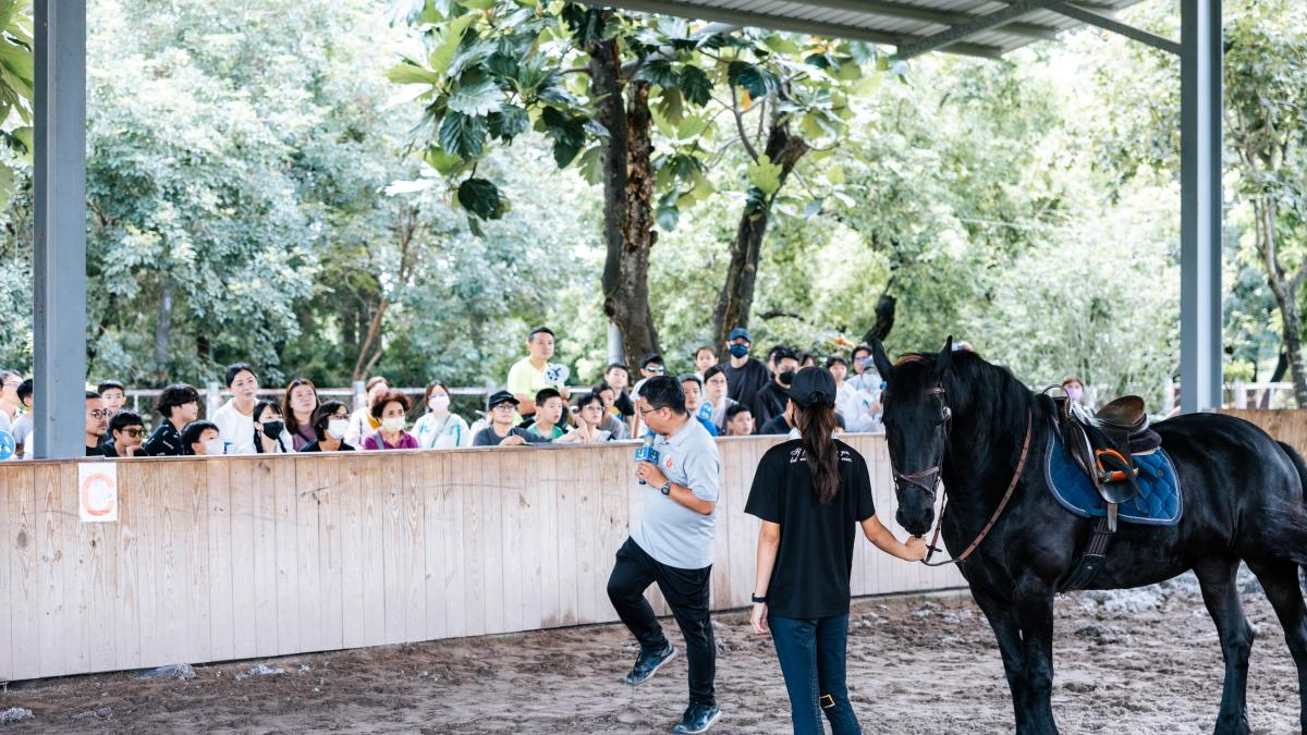 高雄推療癒馬術生命教育夏令營 馬背陪伴傳遞動物平權與復健力量