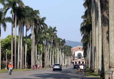 ファンが自転車で「突撃」した国立台湾大学の椰林大道(資料写真、蘇仲泓撮影)