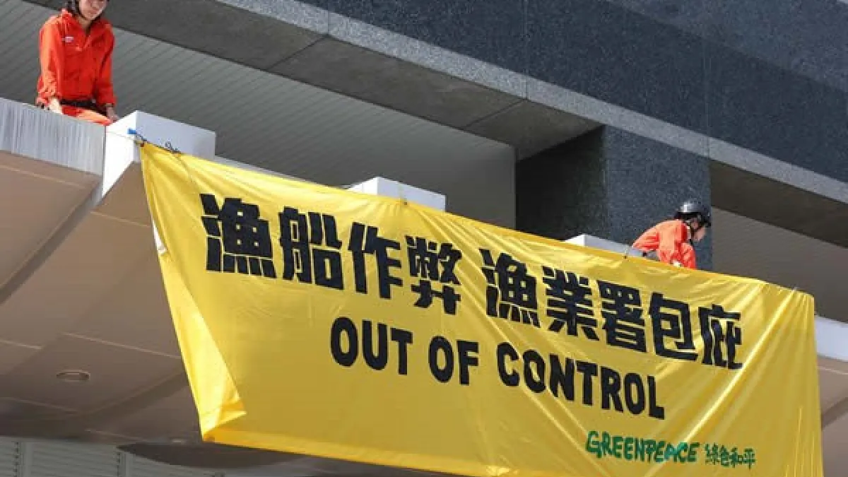 10日中西太平洋漁業委員會確認收到「順得慶888號」漁業執照申請,短短20小時內申請成功,質疑漁業署公然將非法就地合法。(取自GREENPEACE綠色和平網站)