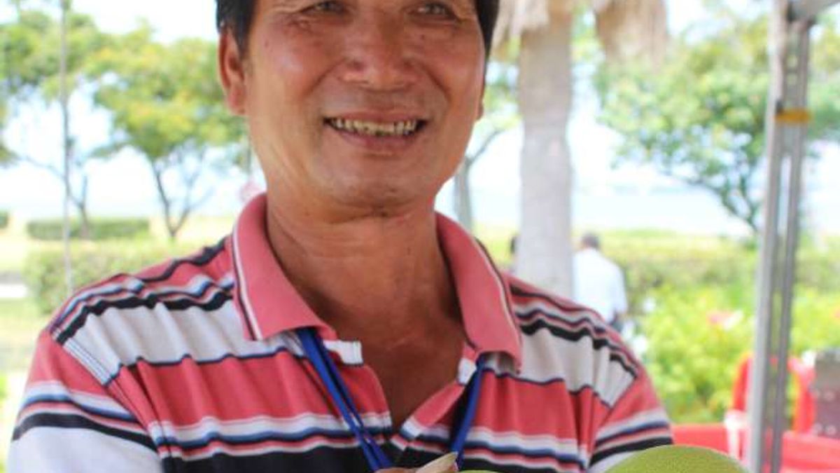 文旦柚果皮風乾後,放置於通風處可驅除蚊蟲,泡酒精一周後也可當防蚊液使用。(圖片來原:新北市政府農業局官網) 文旦柚果皮風乾後,放置於通風處可驅除蚊蟲,泡酒精一周後也可當防蚊液使用。(圖片來原:新北市政府農業局官網)