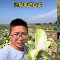 A Chinese social media user posted an undercover video alleging that vendors in Kangbao County, Zhangjiakou, Hebei, were soaking napa cabbage in formaldehyde solution before loading it onto trucks. (X) A Chinese social media user posted an undercover video alleging that vendors in Kangbao County, Zhangjiakou, Hebei, were soaking napa cabbage in formaldehyde solution before loading it onto trucks. (X)