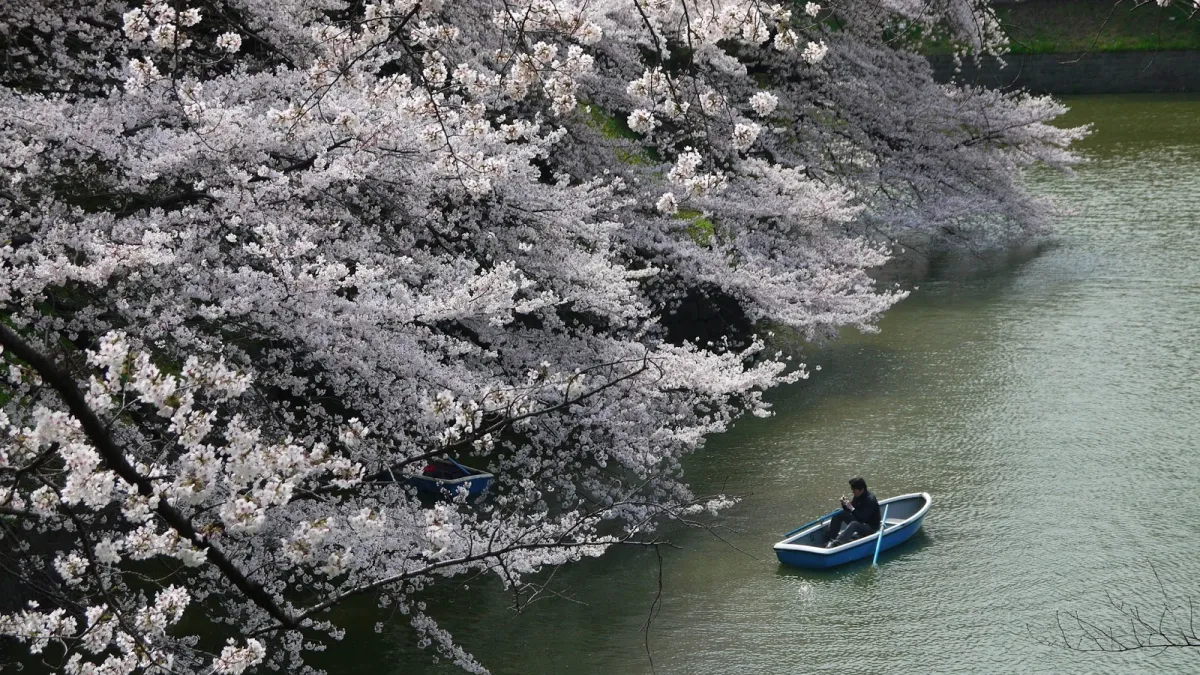 假期旅遊不一定只能跟團,自助旅行也是不錯的選擇。(圖/胖狗過生活)