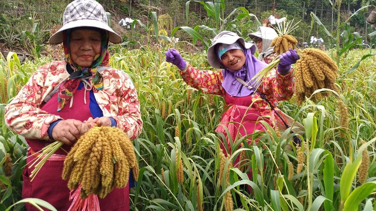 屏東縣政府教育處於暑期規劃6條在地遊學路線,邀請各社區與發展協會共同融入安排遊程,設計跳脫不同於一般旅遊的深度文化體驗行程,讓喜愛旅行者實地體驗南國在地生活。(圖/屏東縣政府提供) 屏東縣政府教育處於暑期規劃6條在地遊學路線,邀請各社區與發展協會共同融入安排遊程,設計跳脫不同於一般旅遊的深度文化體驗行程,讓喜愛旅行者實地體驗南國在地生活。(圖/屏東縣政府提供)