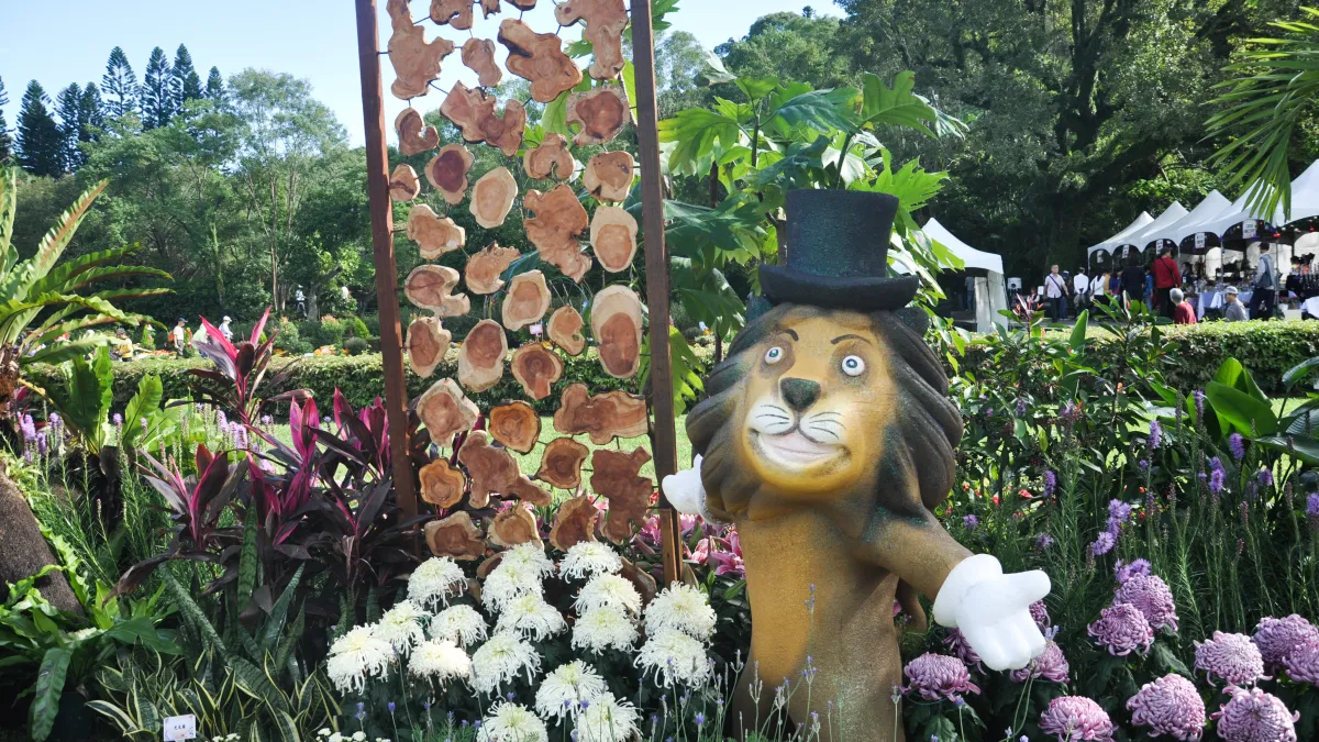 士林官邸菊展登場,今年布置成電影《馬達加斯加》(Madagascar)經典場景(北市府)