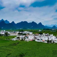 Xinhua Silk Road: "AI+mulberry silk" paves new road to prosperity in S China's Guangxi Xinhua Silk Road: "AI+mulberry silk" paves new road to prosperity in S China's Guangxi
