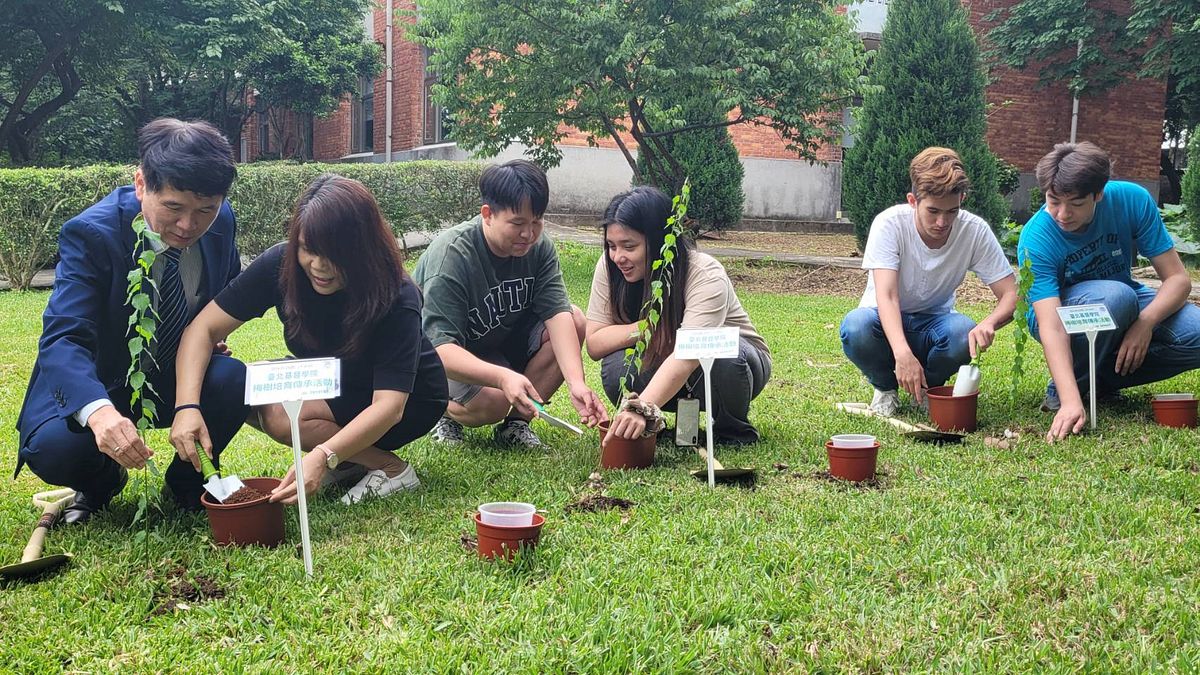 臺北基督學院5/23舉辦「梅樹培育傳承活動」。(圖/台北基督學院) 臺北基督學院5/23舉辦「梅樹培育傳承活動」。(圖/台北基督學院)