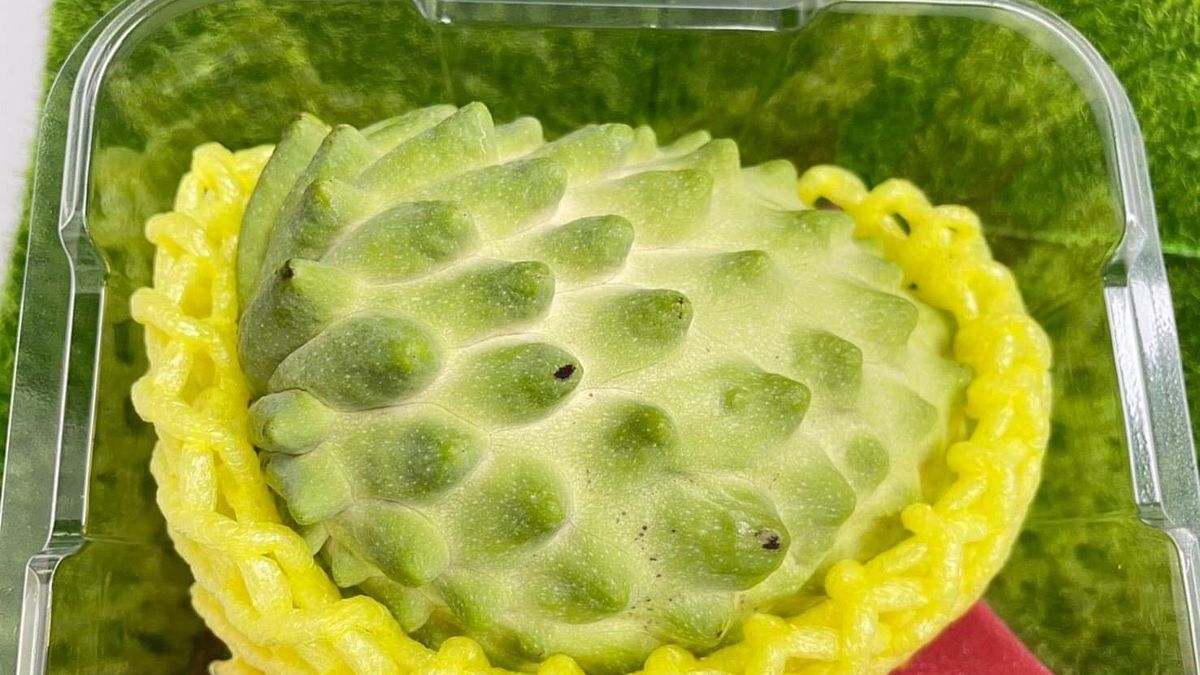 台東縣府協助農民銷售鳳梨釋迦成績亮眼 。(圖/ 臺東縣政府農業處提供) 台東縣府協助農民銷售鳳梨釋迦成績亮眼 。(圖/ 臺東縣政府農業處提供)