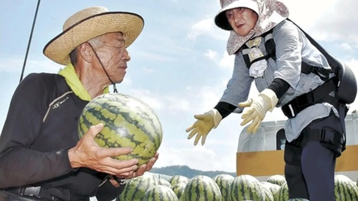 穿上外骨骼支撐的日本高齡農家笑開懷表示:「能再奮鬥 15 年。」(圖/河北新報,智慧機器人網提供) 穿上外骨骼支撐的日本高齡農家笑開懷表示:「能再奮鬥 15 年。」(圖/河北新報,智慧機器人網提供)