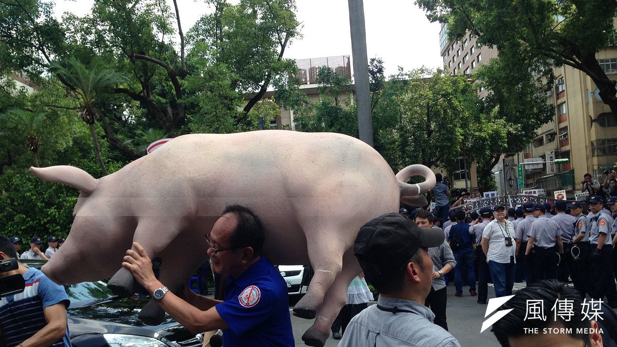 聚集於立法院外抗議美豬的群眾,試圖翻越立院青島東路側門,立委陳超明試圖將保麗龍製的道具豬送進立院。(羅暐智攝) 聚集於立法院外抗議美豬的群眾,試圖翻越立院青島東路側門,立委陳超明試圖將保麗龍製的道具豬送進立院。(羅暐智攝)