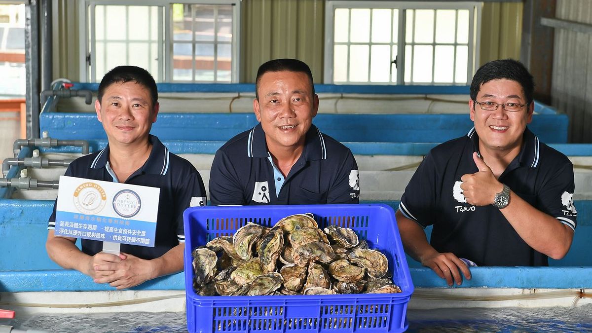 探索水產運用全台唯一深層海水馴化專利技術淨化過後的生蠔左起:執行長鍾政男、董事長蔡啟林、技術長黃秉益。(圖/探索水產提供) 探索水產運用全台唯一深層海水馴化專利技術淨化過後的生蠔左起:執行長鍾政男、董事長蔡啟林、技術長黃秉益。(圖/探索水產提供)
